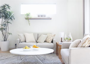 未來(lái)家居時(shí)代的主角居然是ta